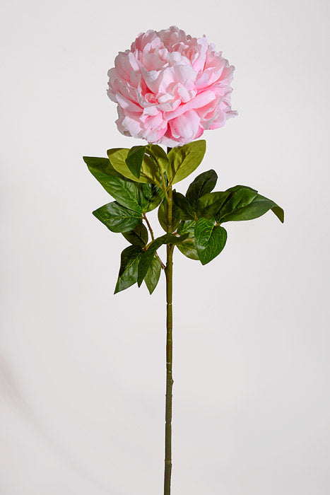 28" Silk Single Peony Light Pink