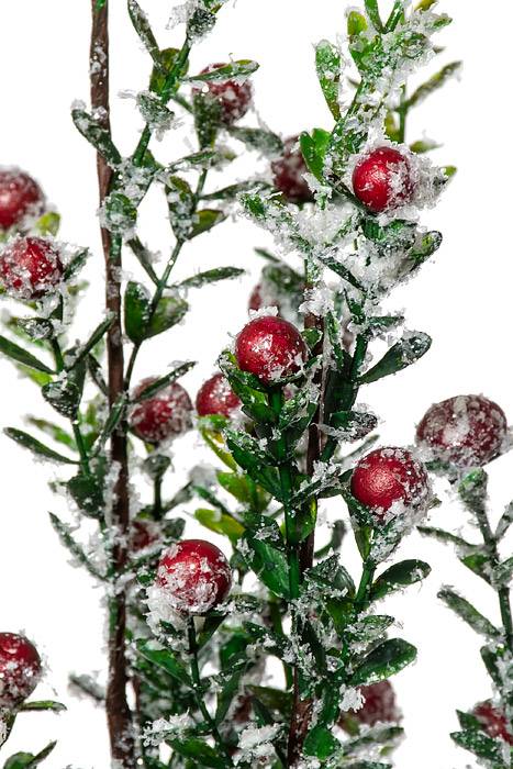 49" Wp Frost Mini Boxwood Leaf Berry Spray Natural Frosted