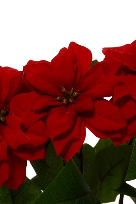 14.5" Velvet Poinsettia Bush Red