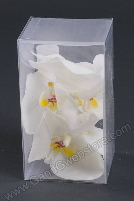 4.5" X 4" Phalaenopsis Boutonniere White Box/2
