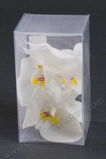 4.5" X 4" Phalaenopsis Boutonniere White Box/2