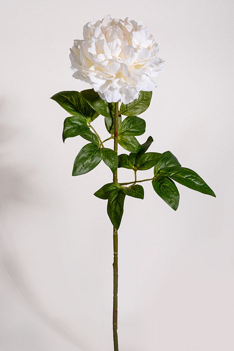 28" Silk Single Peony Cream