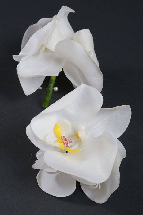 4.5" X 4" Phalaenopsis Boutonniere White Box/2