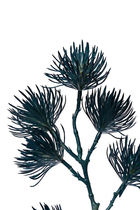 37" Thistle Spray Blue