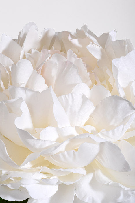 28" Silk Single Peony Cream