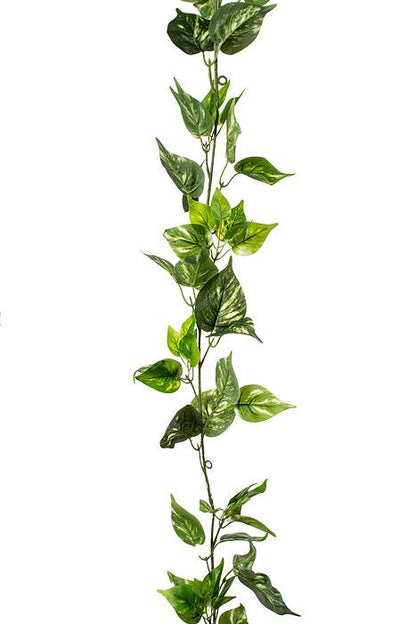 6ft Potho Garland Green