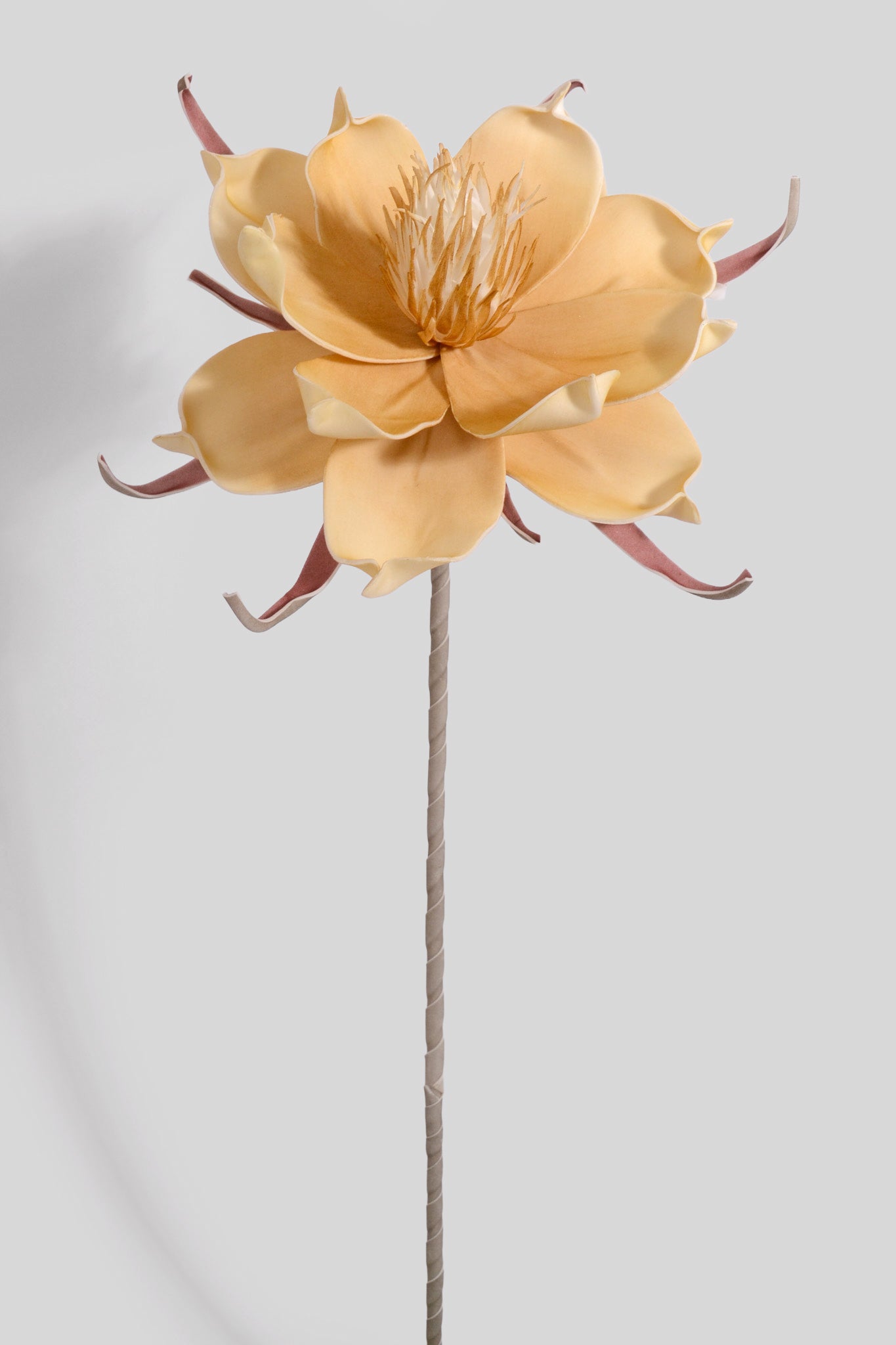 25" Pandula Foam Flower Cream