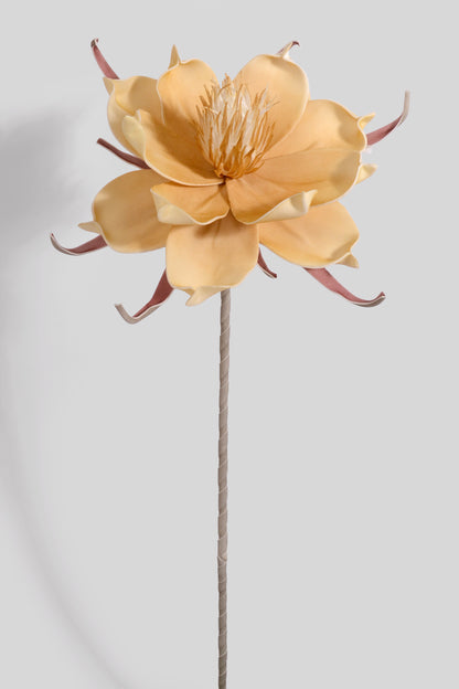 25" Pandula Foam Flower Cream