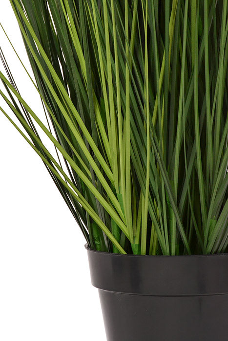 36" Potted Fountain Grass Two Tones Green