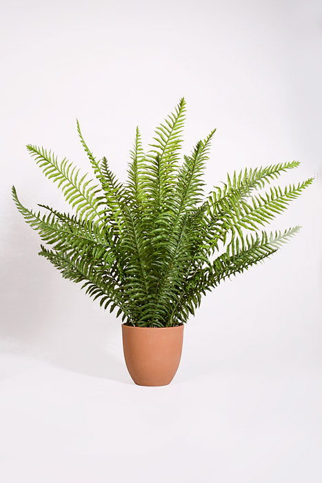 22" Real Touch Ruffle Fern In Pot Green
