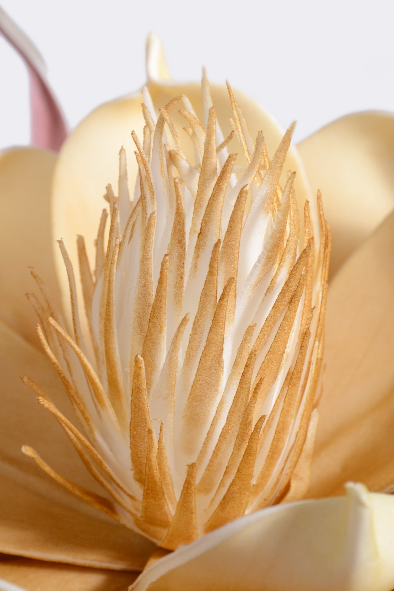 25" Pandula Foam Flower Cream