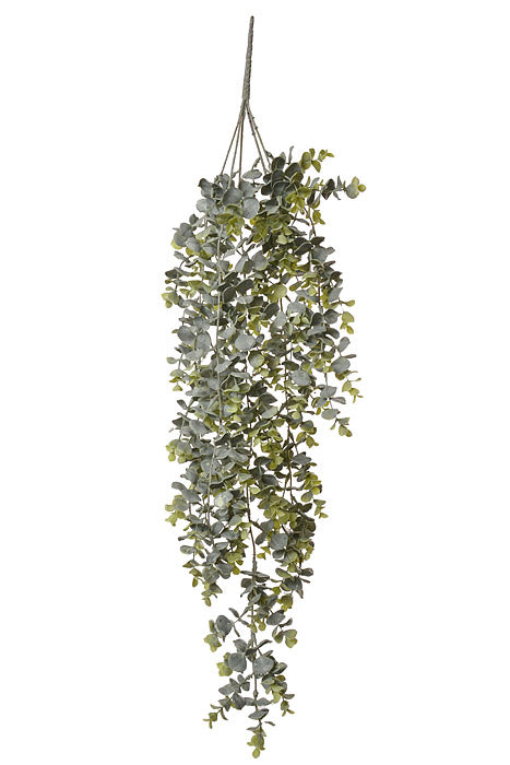 32" Eucalyptus Hanging Frosted