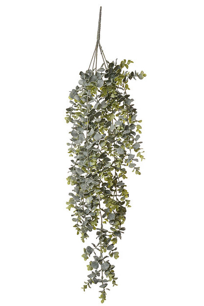 32" Eucalyptus Hanging Frosted
