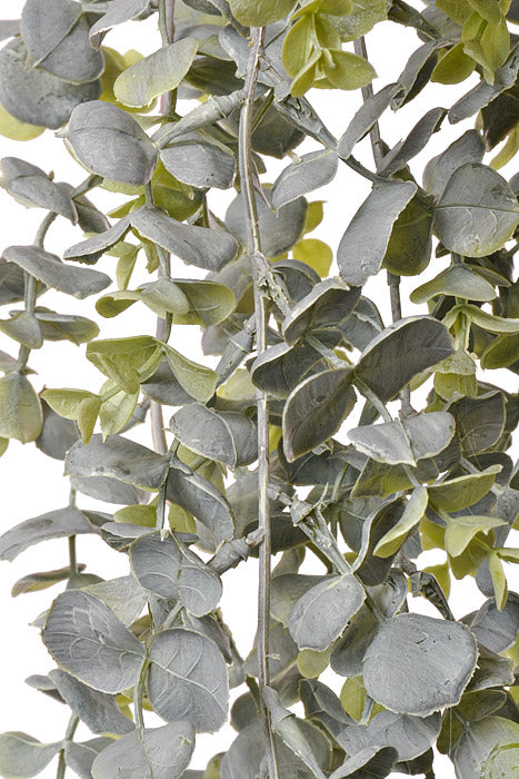 32" Eucalyptus Hanging Frosted