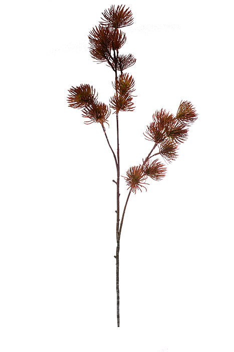 37" Thistle Spray Green/Burgundy