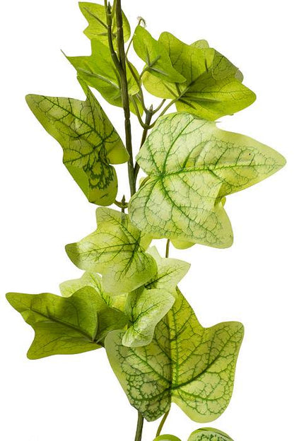 6ft  English Ivy Garland Lt Green