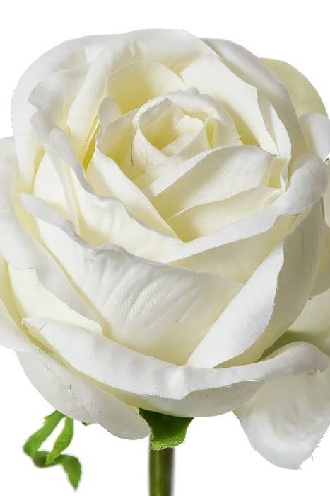 19" Rose Spray White