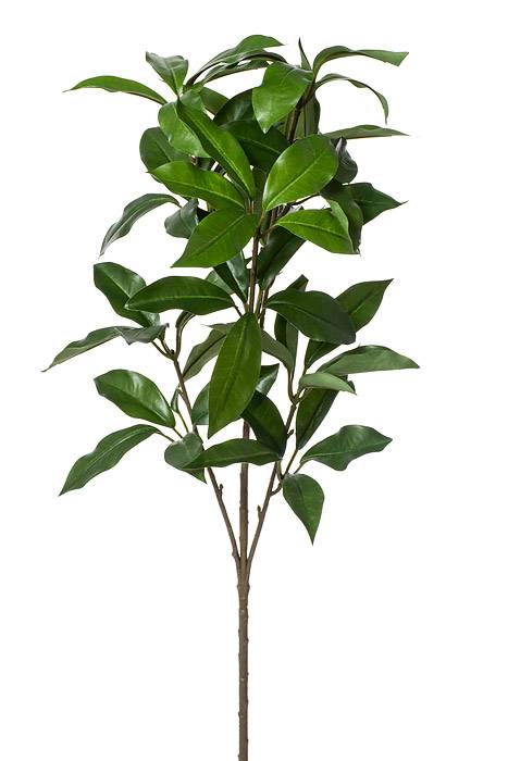 24" Laurel Spray Green