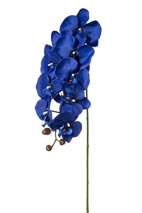 42.5" Orchid Spray Royal Blue