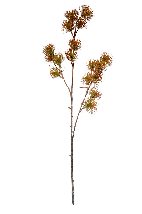 37" Thistle Spray Green/Light Brown