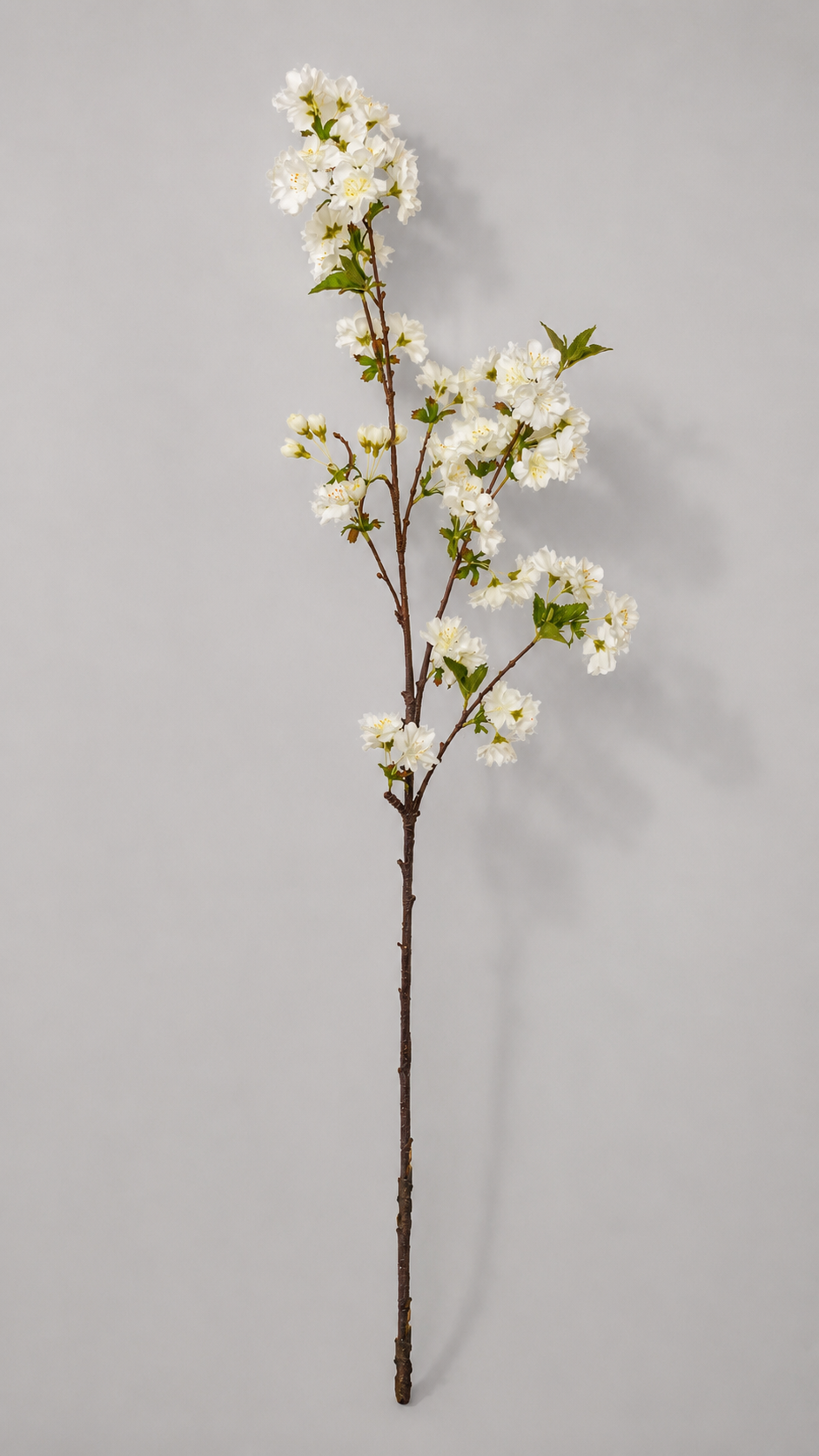 36" Silk Cherry Blossom Spray Cream