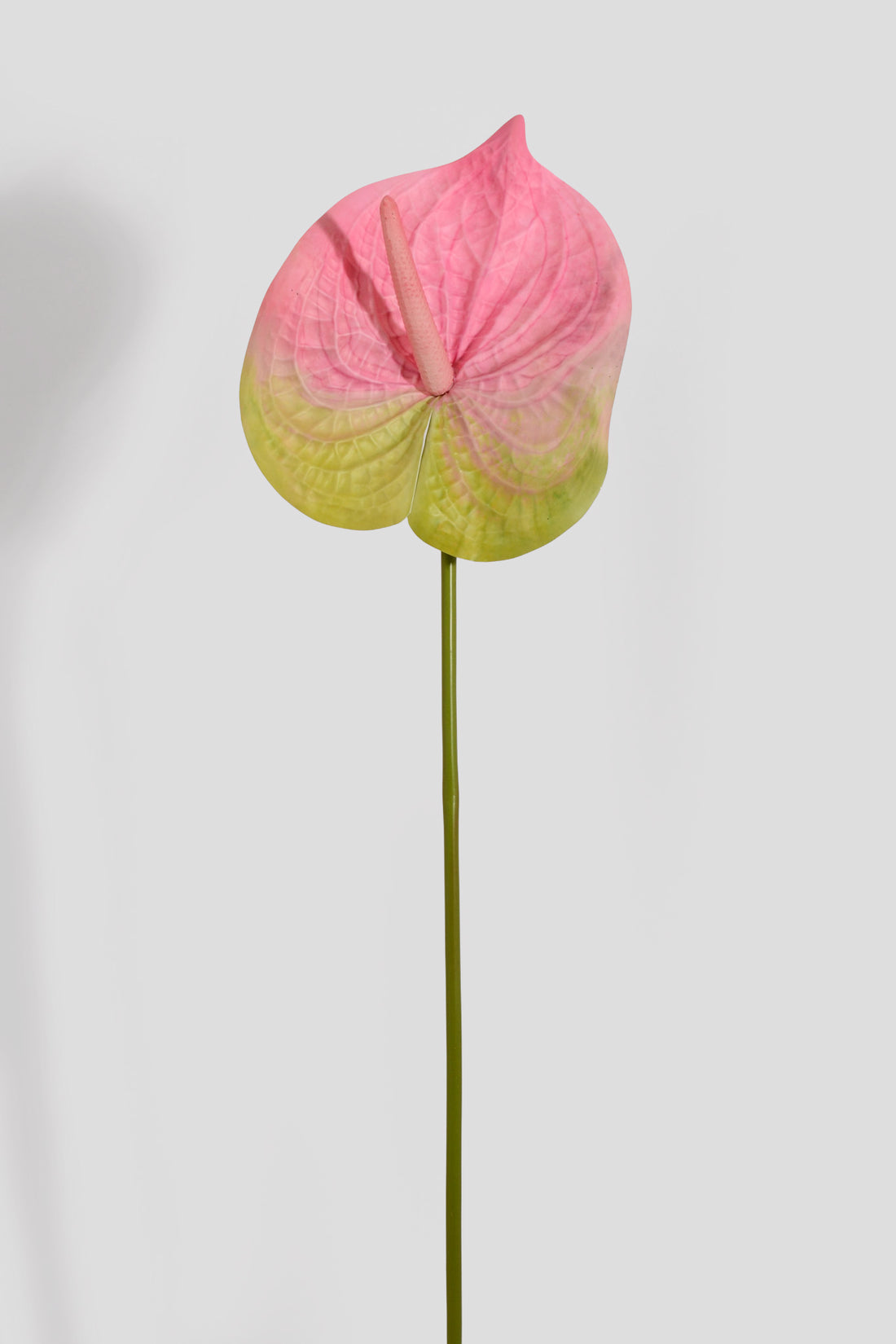 31.5" Artificial Anthurium Spray Pink/Green