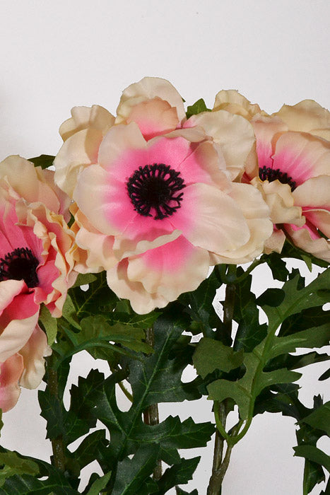 20&quot; Silk Wave Anemone Bush Coral/Cream