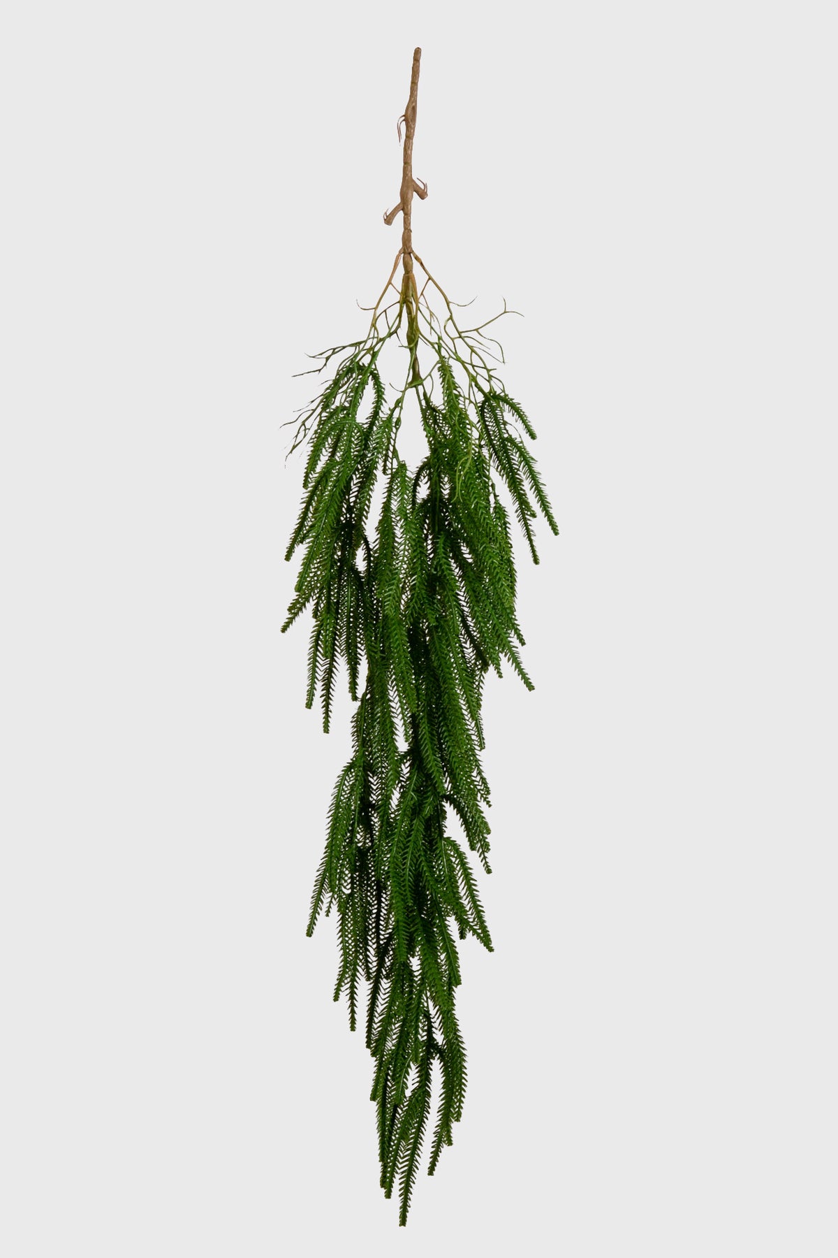 35.5" Hanging Norfolk Pine Spray Green