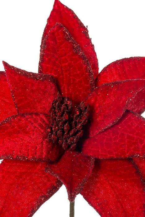 24" Velvet Glitter Edge Jewel Poinsettia Stem