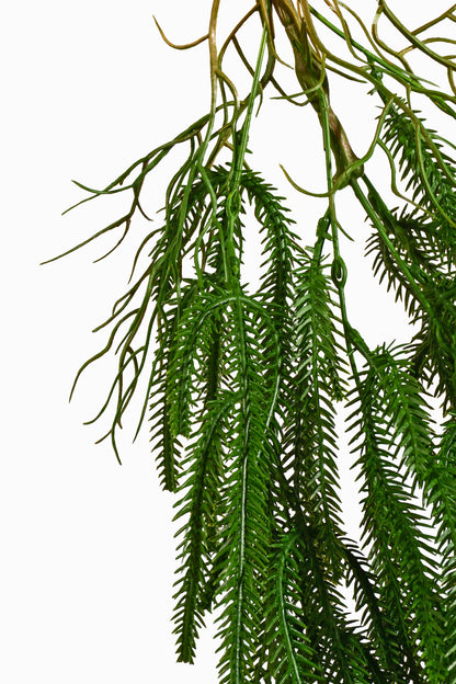 35.5" Hanging Norfolk Pine Spray Green