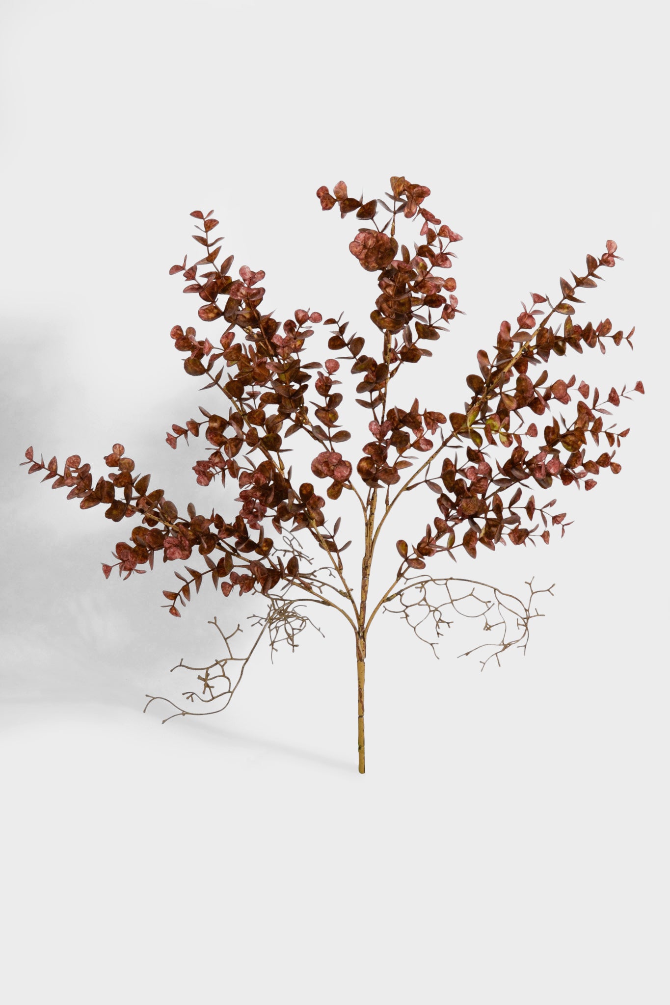 24" Eucalyptus Bush Burgundy/Brown