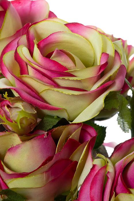 21" Open Rose Bush Beauty