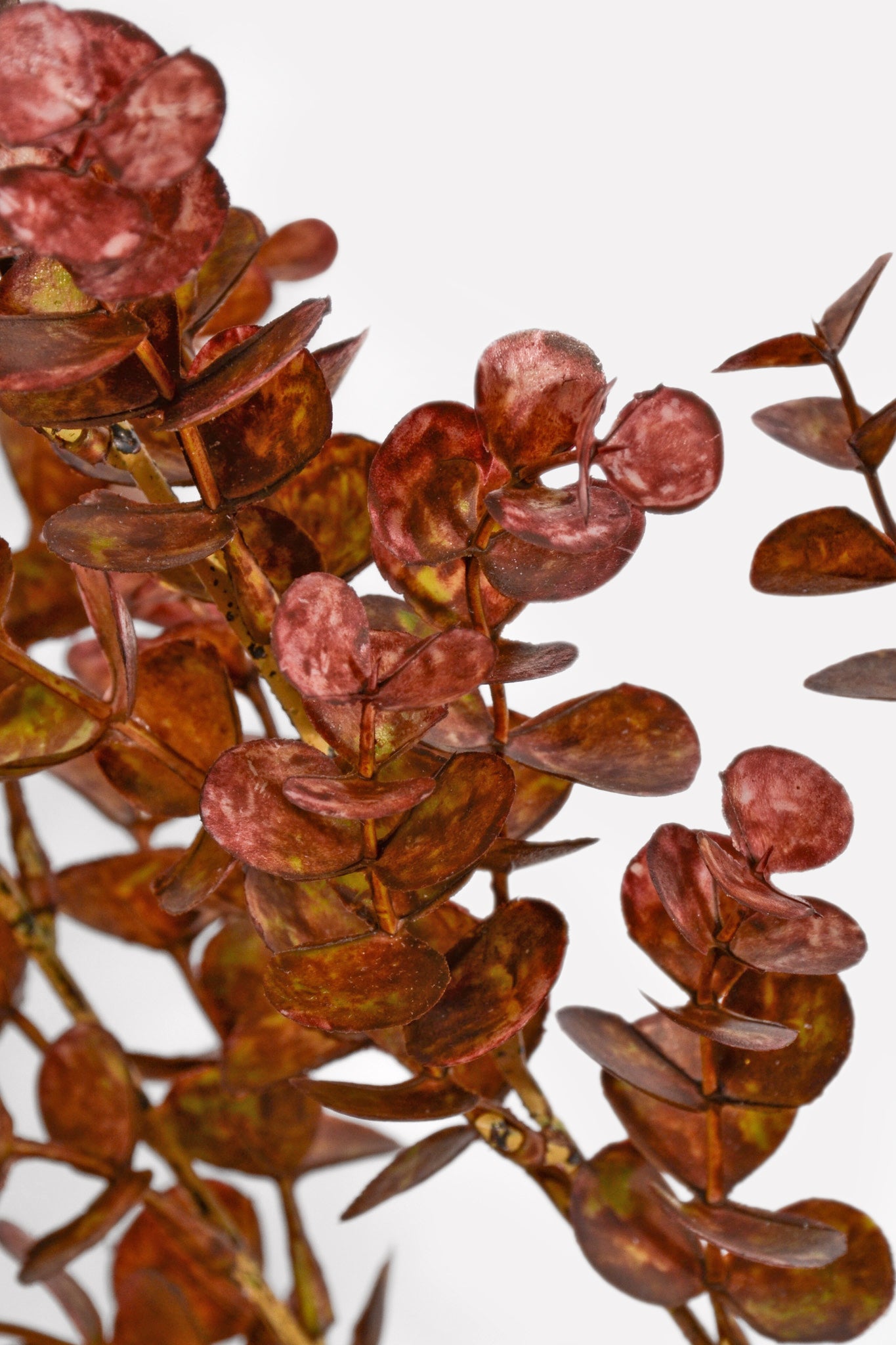 24" Eucalyptus Bush Burgundy/Brown