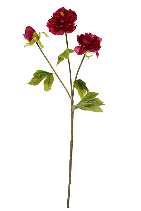 24.5" Silk Peony Spray Burgundy