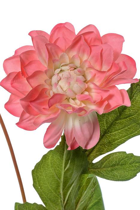 24.5&quot; Silk Garden Dahlia Spray Peach/pink