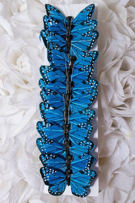2&quot; Butterfly Blue Pkg/12