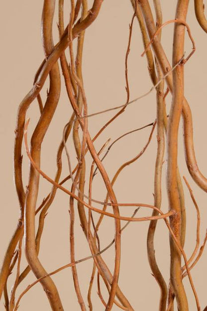 Curly Willow Deluxe Natural Pkg/6