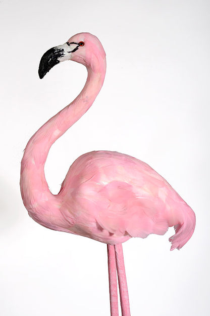 38.5" Standing Feather Flamingo Pink