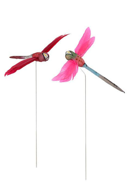 3.25" Dragonfly W/Wire Box-12 Assorted
