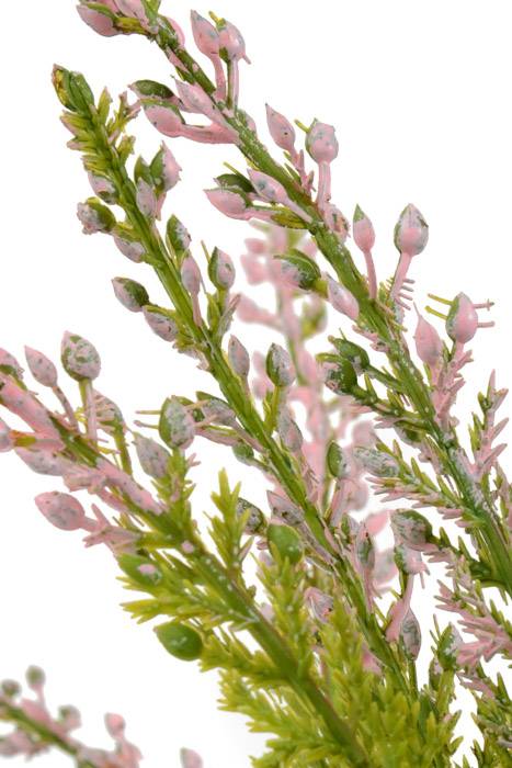 17&quot; Cedar Bush X18 Pink