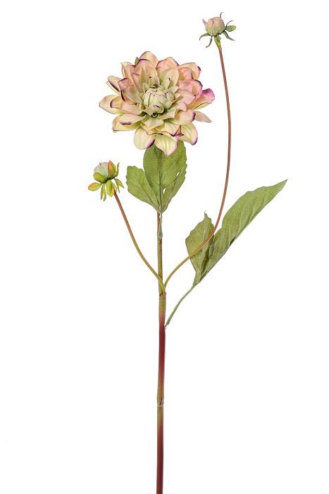 26" Silk Garden Dahlia Spray Green/purple