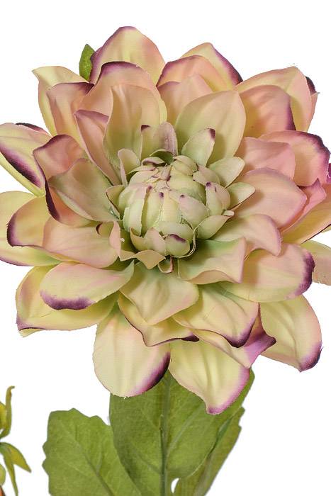 26" Silk Garden Dahlia Spray Green/purple
