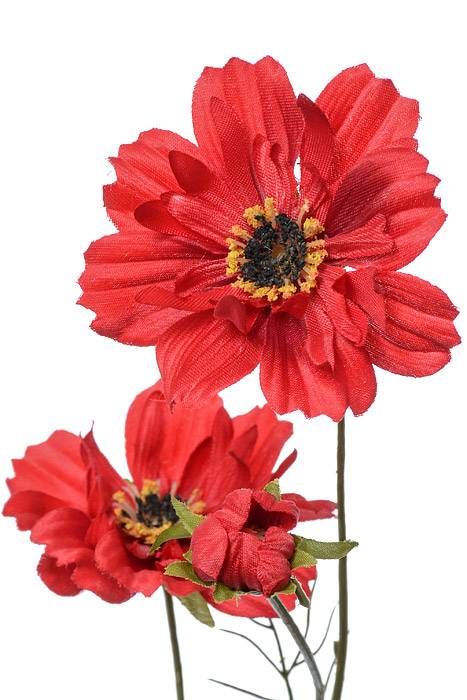 32" Silk Cosmos Spray Red