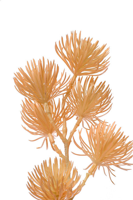 37" Thistle Spray Orange