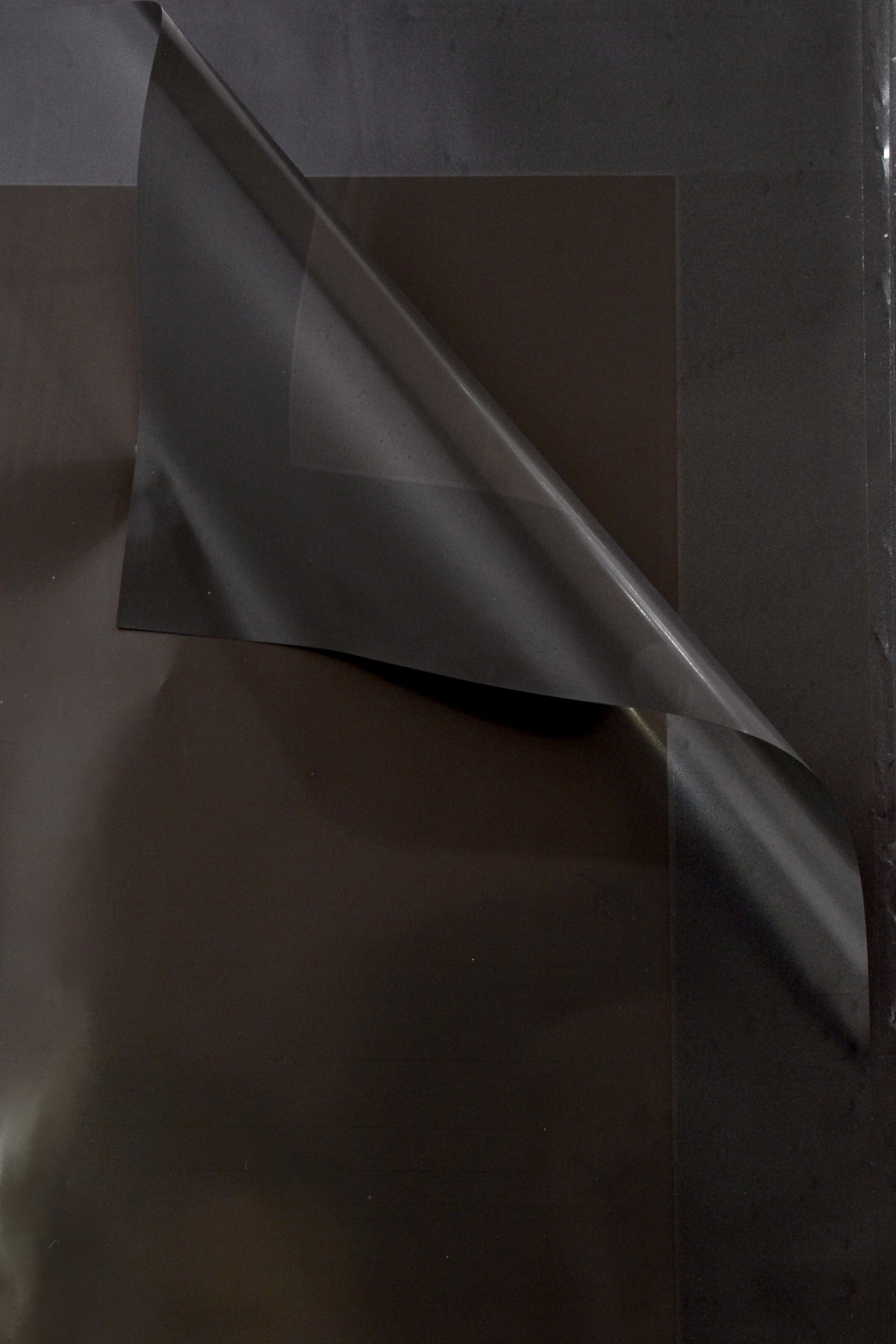 22.5" Flower Wrapping Paper With Edge Black Pkg/20