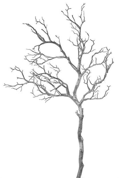 37.5" Manzanita Branch Silver