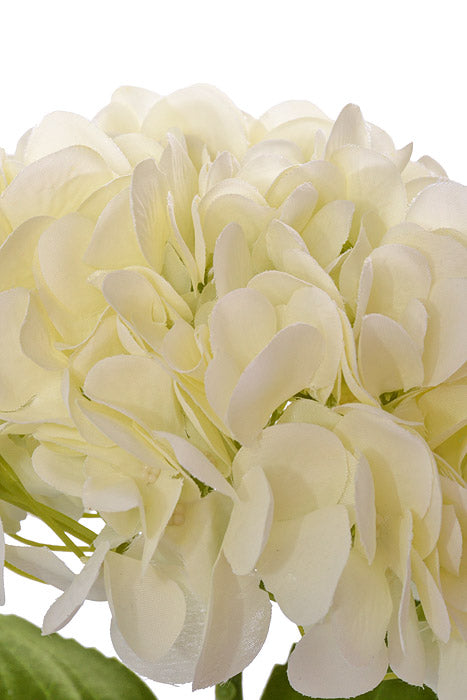 19" Silk Hydrangea Stem W/2 leaves (Cream)