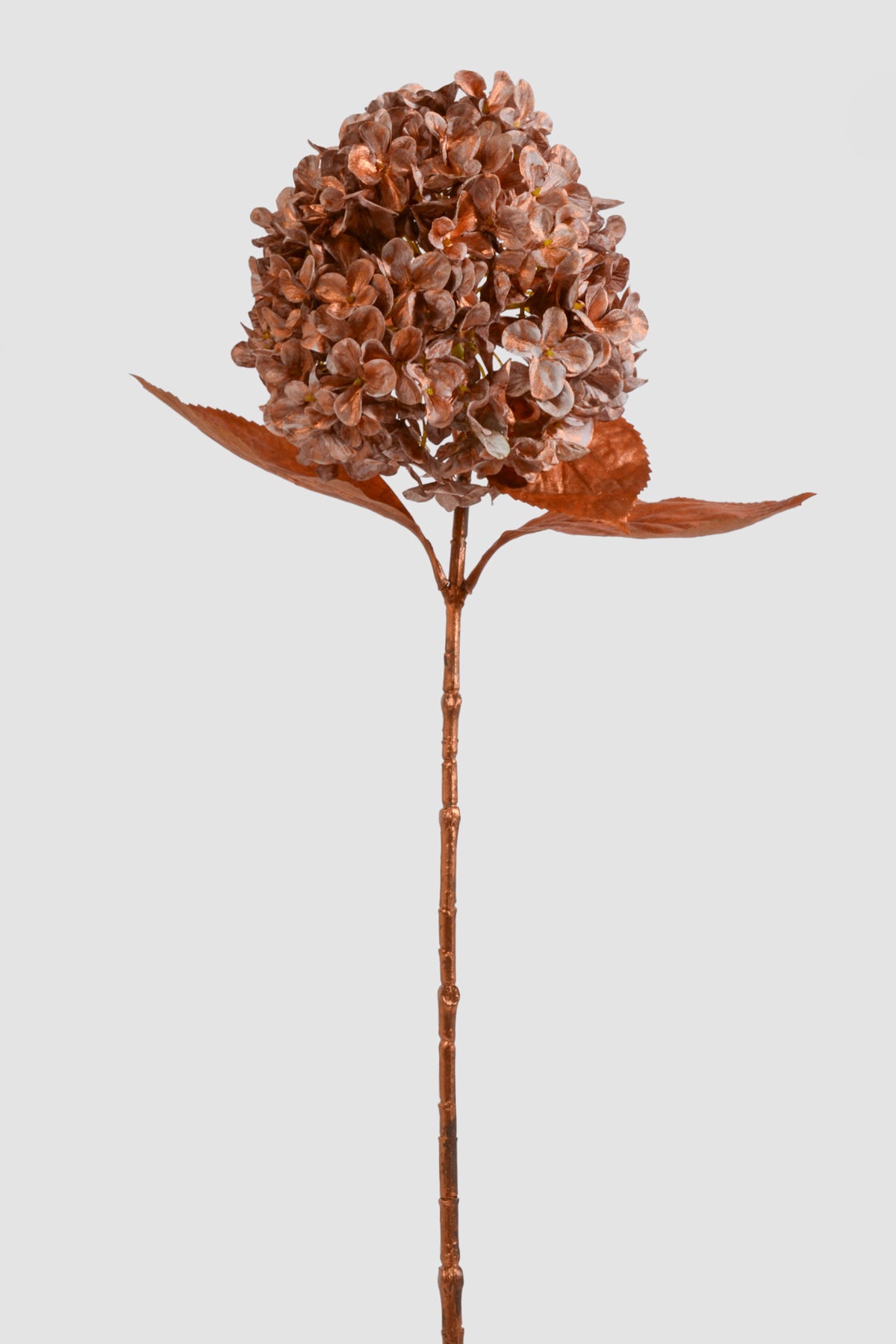 27" Single Hydrangea Spray Copper