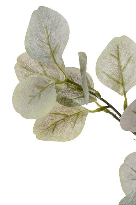 35.5" Eucalyptus Spray Light Green