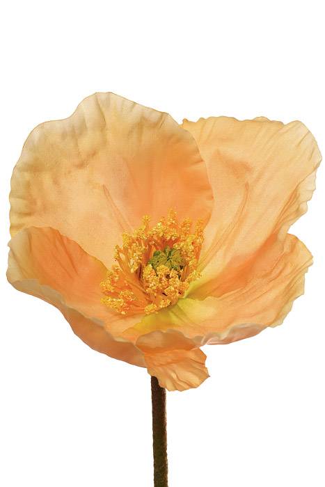 23&quot; Silk Poppy Spray Yellow/Orange